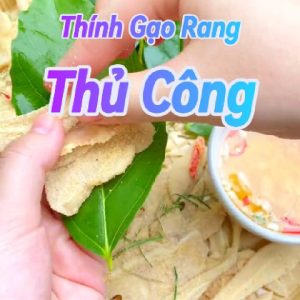 Thinh Gao shopee Cover